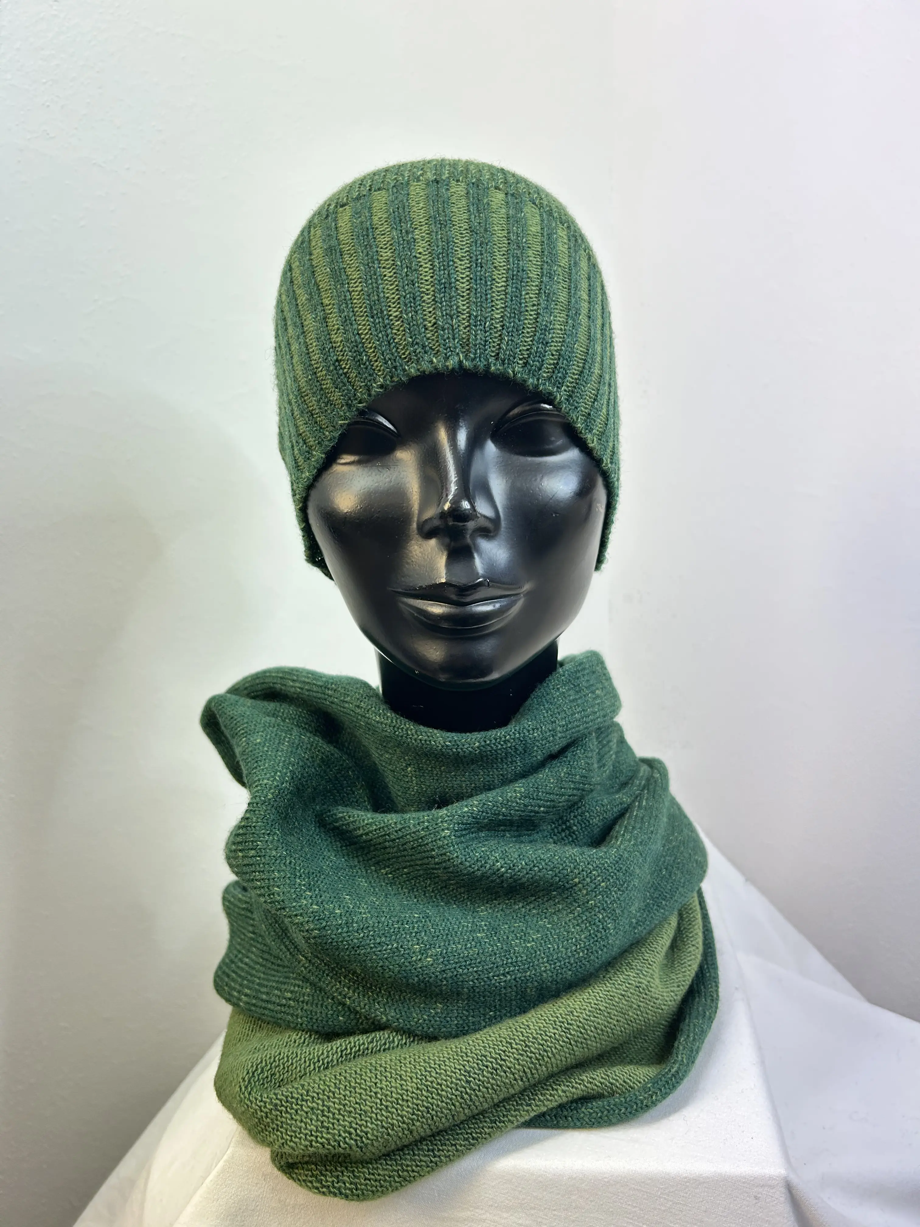 Immagine di Modello Neve bicolore verde 