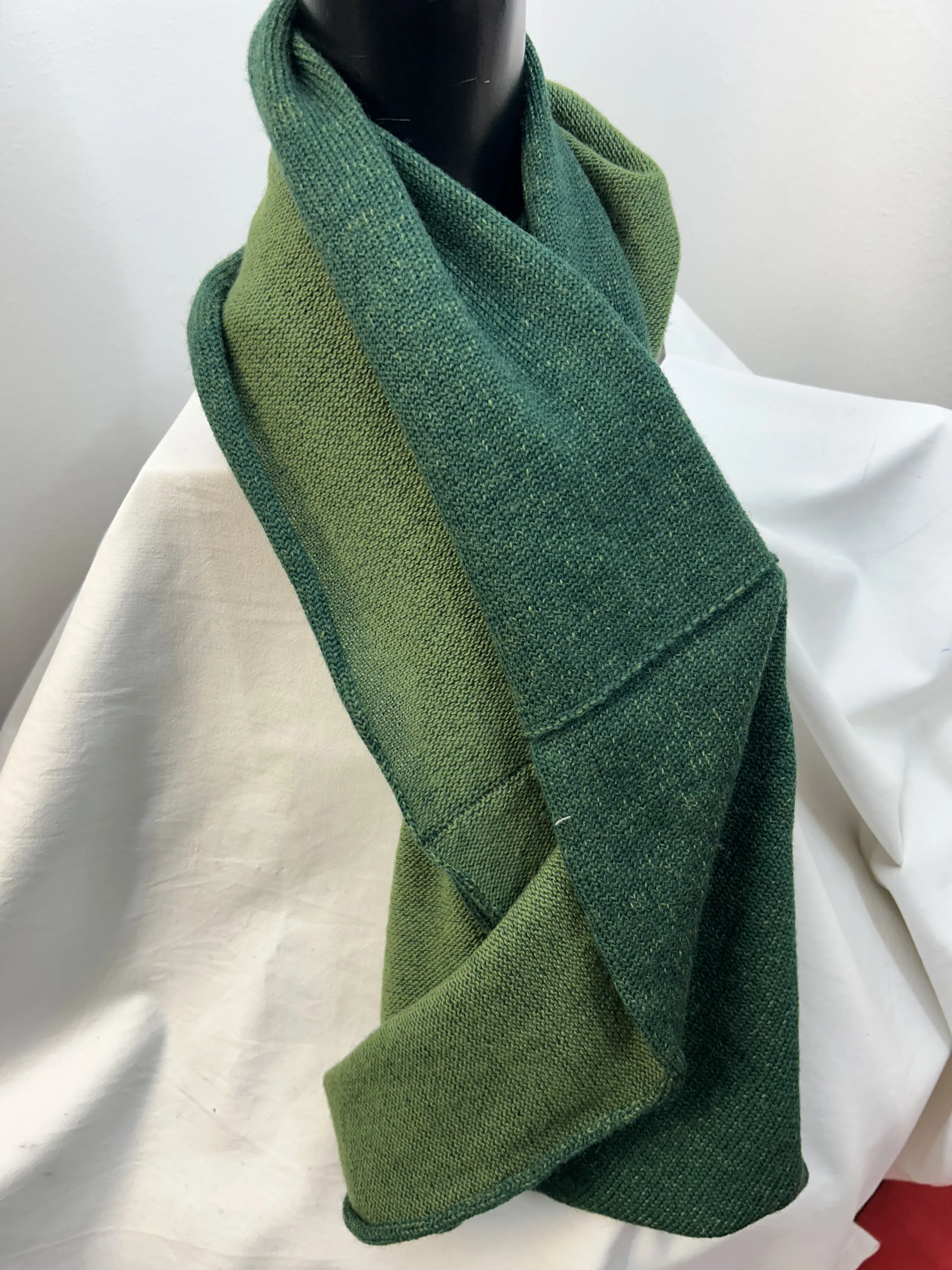 Immagine di Modello Neve bicolore verde 